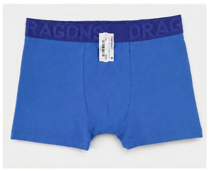Boxer Dragons